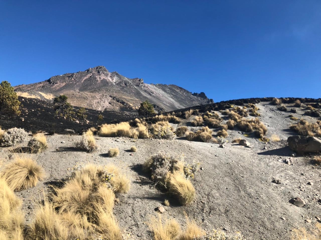 NEVADO DE TOLUCA